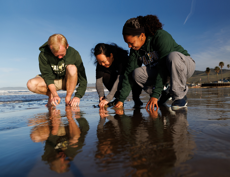 Cal Poly Pismo clam student researchers at Pismo Beach