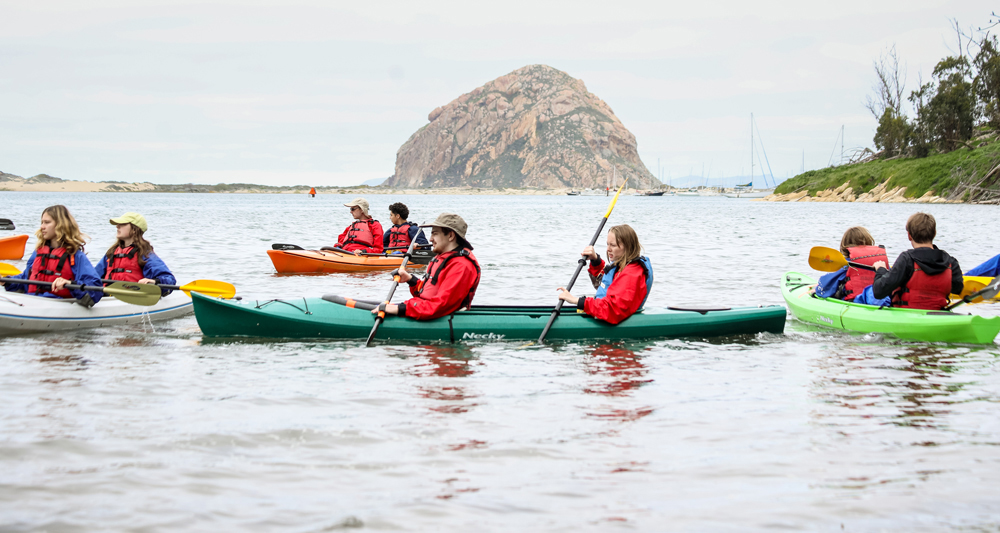 A group of students and their clients paddling in kayaks in Morro Bay.