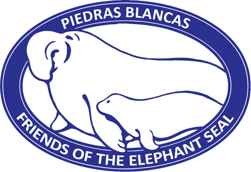 Blue and white oval logo reading “Piedras Blancas Friends of the Elephant Seal,” featuring stylized outlines of an adult elephant seal and a pup.