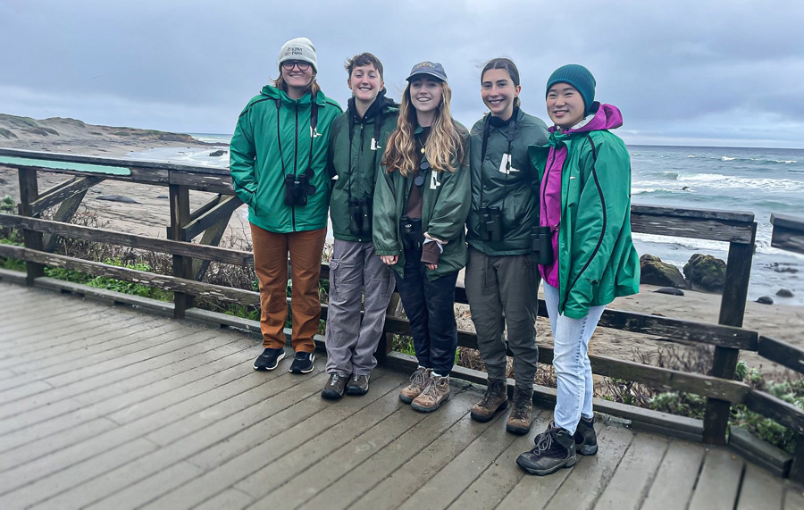 Student researchers with Team Ellie wearing green jackets and binoculars stand on a wooden overlook above a coastal beach, with waves, dunes and cloudy sky in the background.