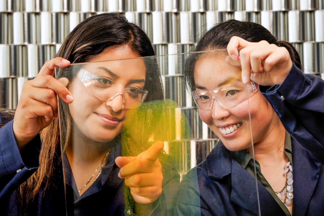 Biochemistry student and professor doing research on pigments.