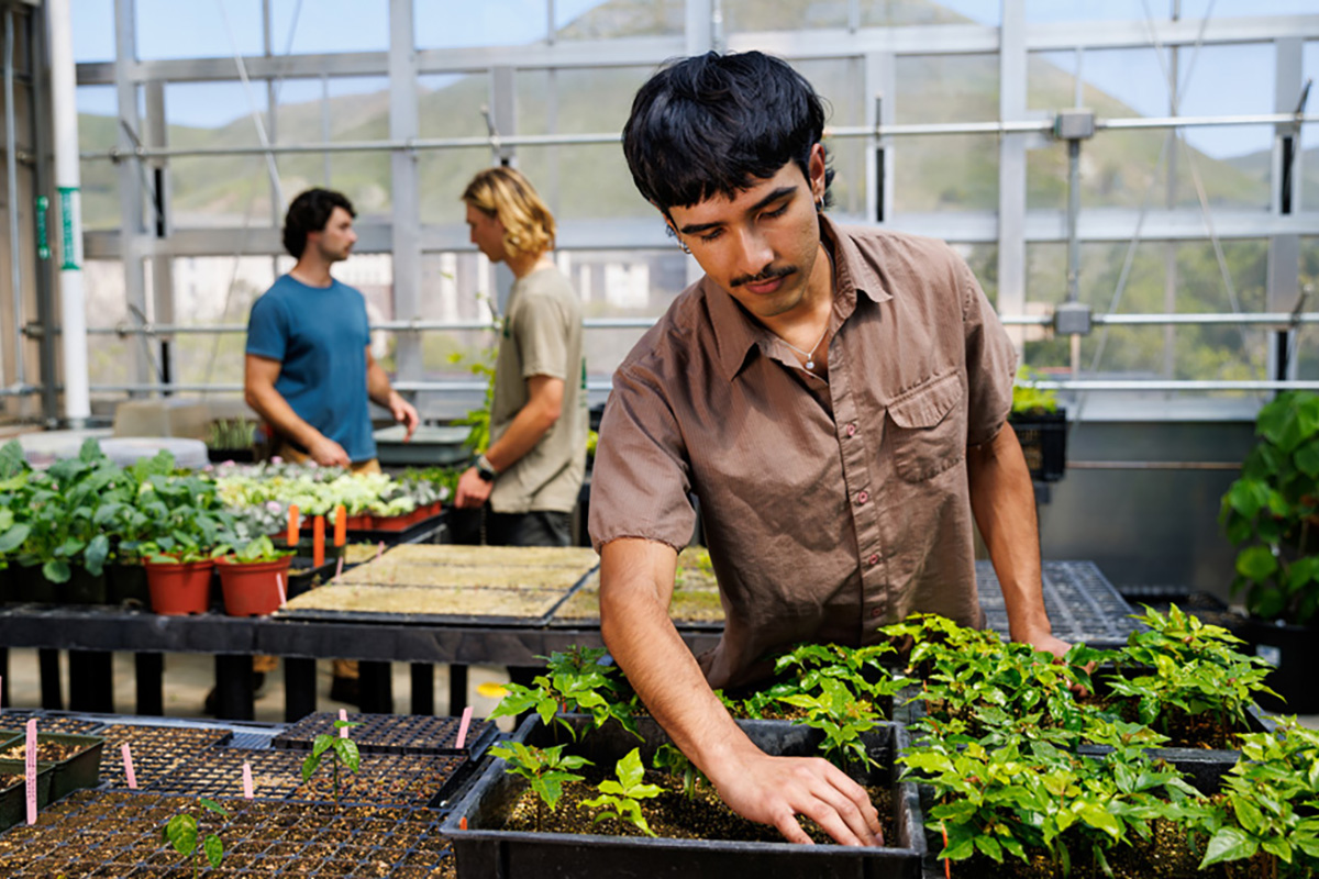 Cal Poly student in Plant Conservatory