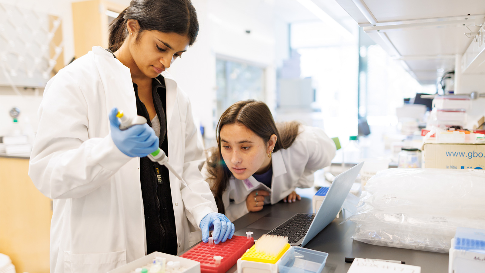 Students working in lab