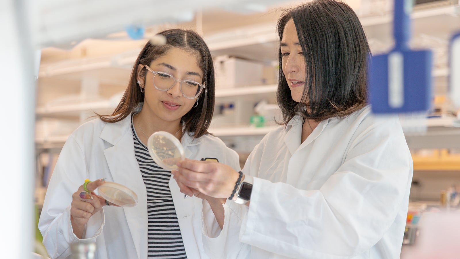 Undergraduate Research | Bailey College of Science and Mathematics