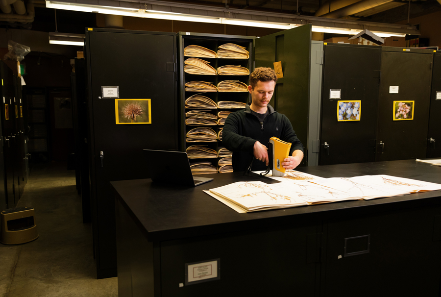 Student in Herbarium