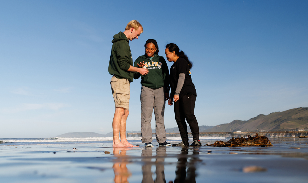 Pismo clam research students at Pismo Beach