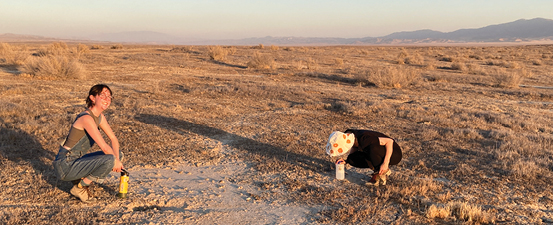 Cal Poly lichen research in Carrizo Plain