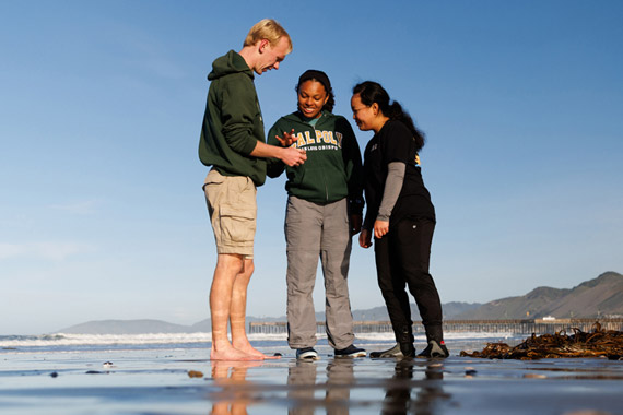 Pismo clam research students at Pismo Beach