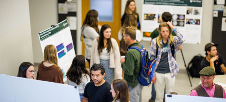Presentation boards at Research Conference