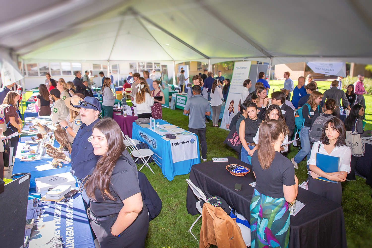 Bailey College Career Fair