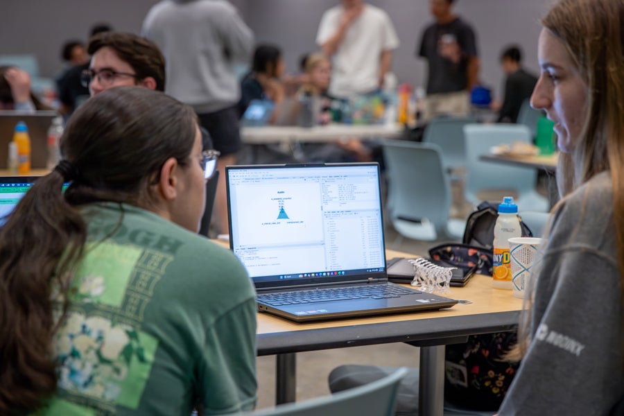2025 DataFest student competitors sit in front of laptop