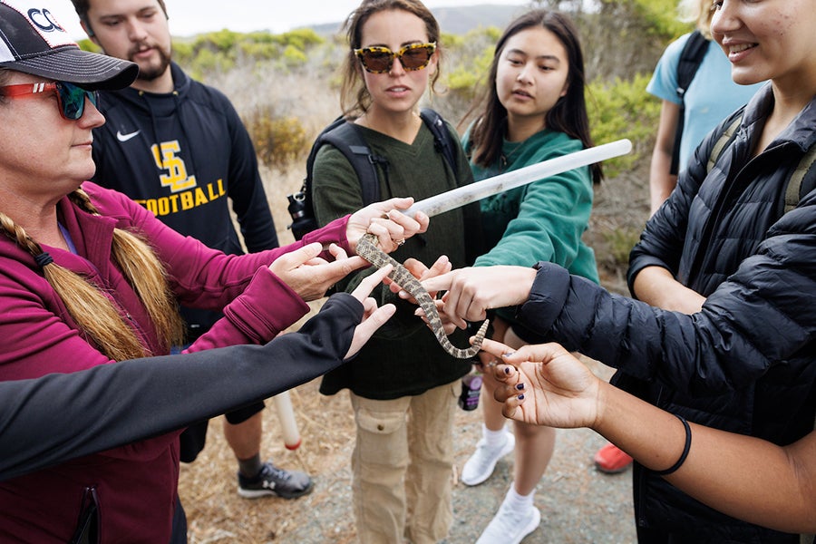 Biological Sciences Department professor Emily Taylor and students observe a rattlesnake during a field outing in 2022.