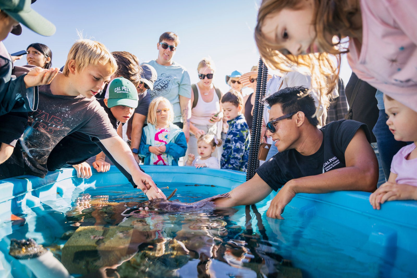 A marine sciences student shows local marine wildlife in a blue, water-filled container to a group of children and parents.