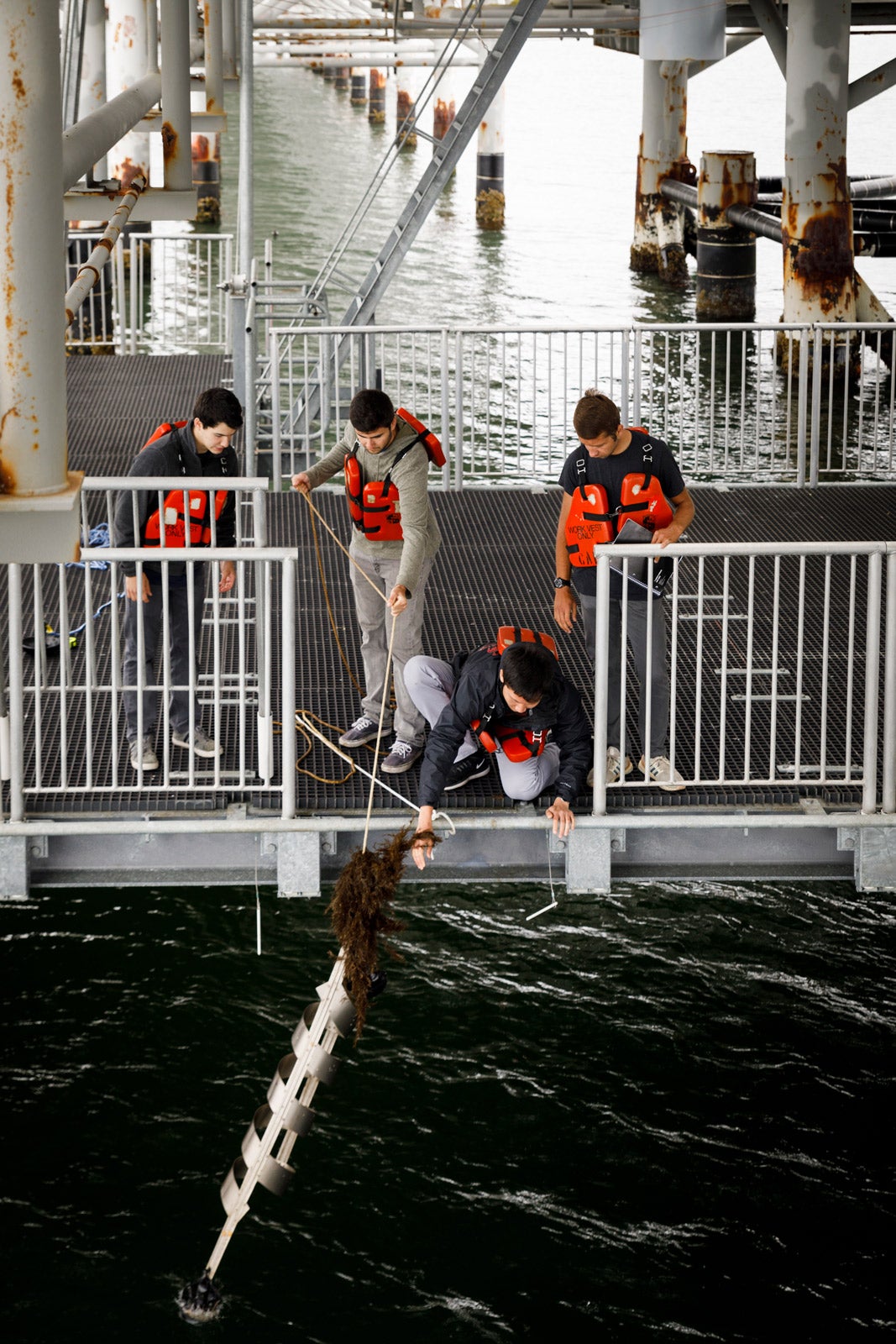 Materials engineering students work with titanium coils at the pier.