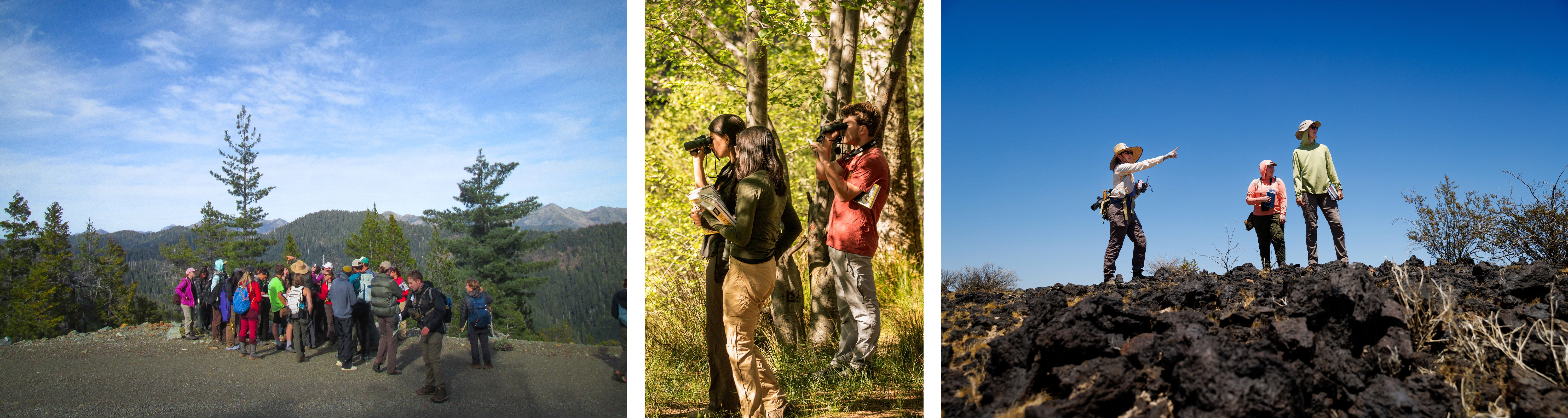 Three inline photos. The first is of a group of students grouped together at a mountain vista. The middle photo is of three students with binoculars in a shaded forest area. The last photo is of a professor and two students standing on top of a volcanic rock outcrop.