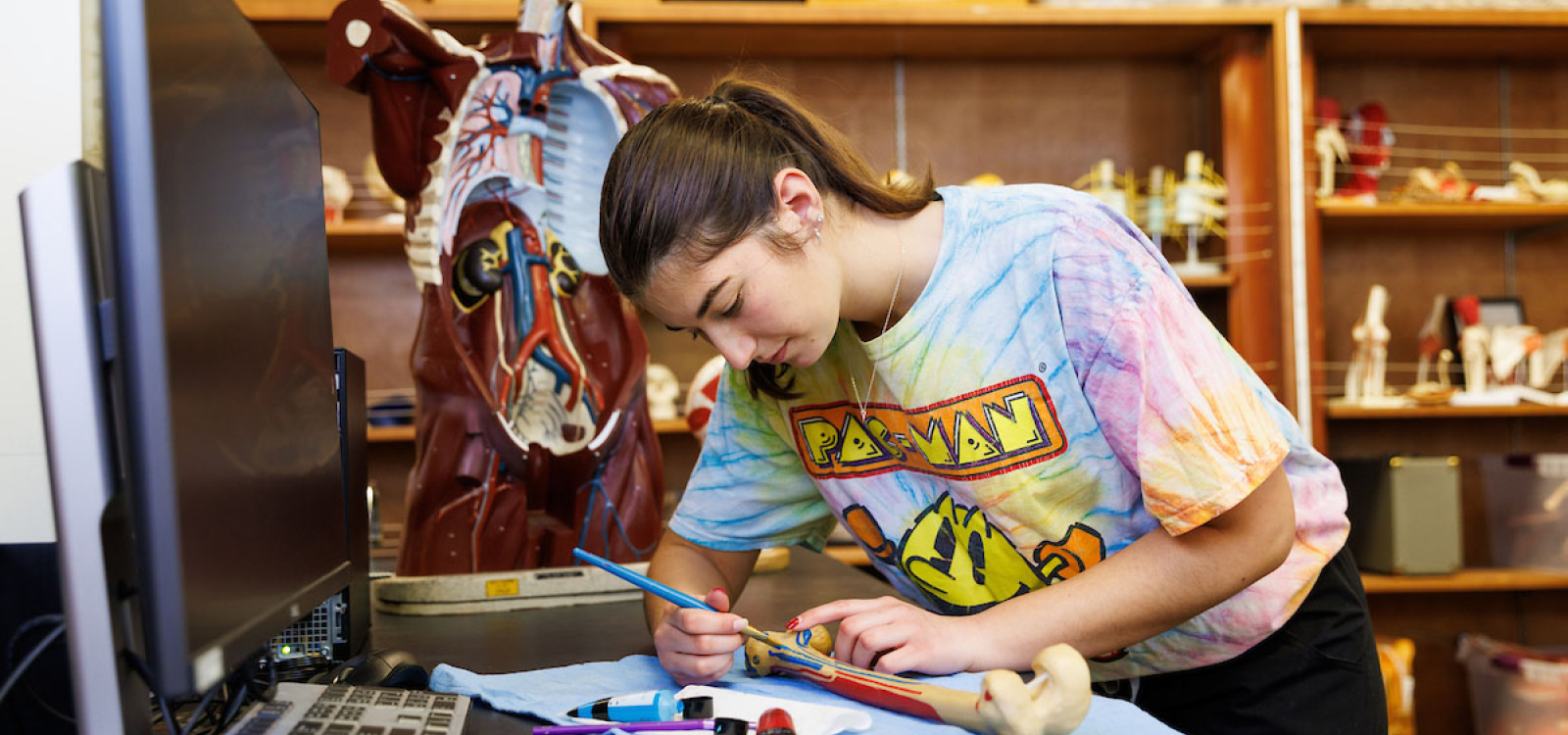 Kinesiology major Kellie Hintzoglou explores the shapes of bones with paint.