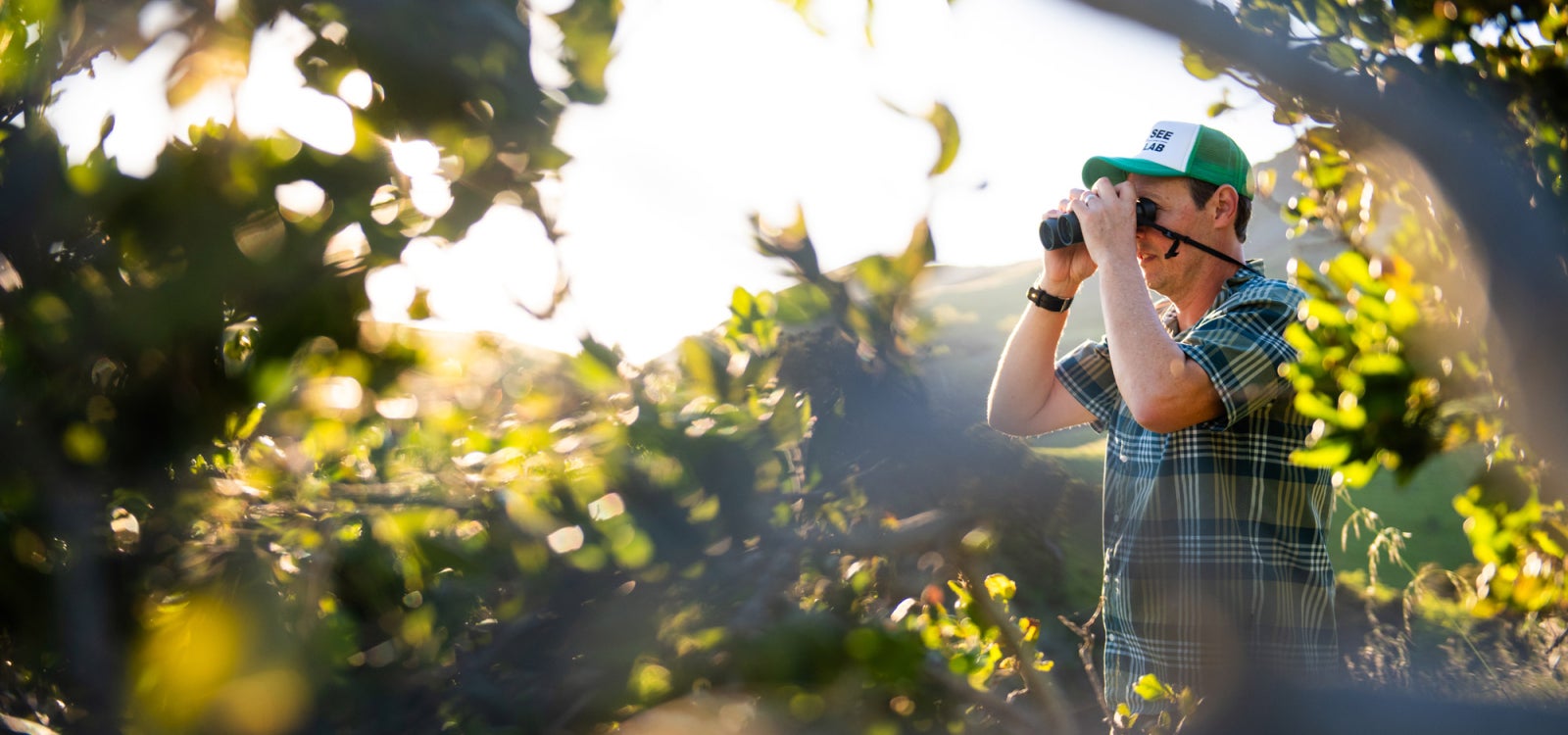 Professor Clinton Francis looks out over Poly Canyon with binoculars, photo by Brittany App