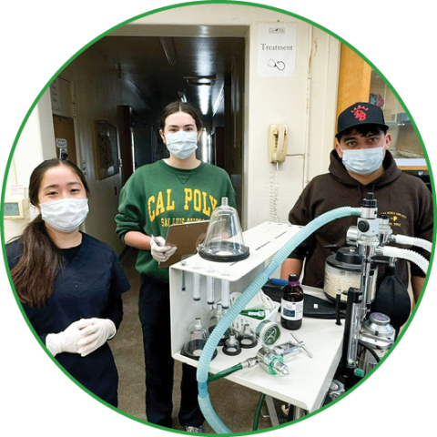 Vagus nerve research at Cal Poly