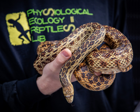 Student holding a snake