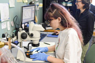 Marissa Dierkes analyzing a sample in lab