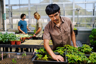 Cal Poly student in Plant Conservatory