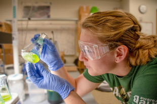 Biological sciences student Haley Edwards looks closely at a small vial of green algae culture while working at a lab bench in the Keeling Lab.