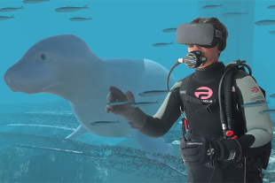 A student with a VR headset makes their way through a virtual school of fish.