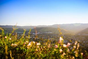 Sunset view of Cal Poly from above, with grass in the foreground