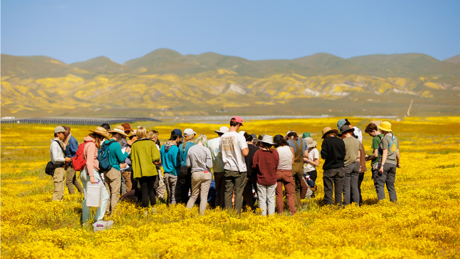 Bailey College faculty took students in the Field Botany: California Plant Diversity class to Carrizo Plain to identify the blooming wildflowers and other plants in that region.
