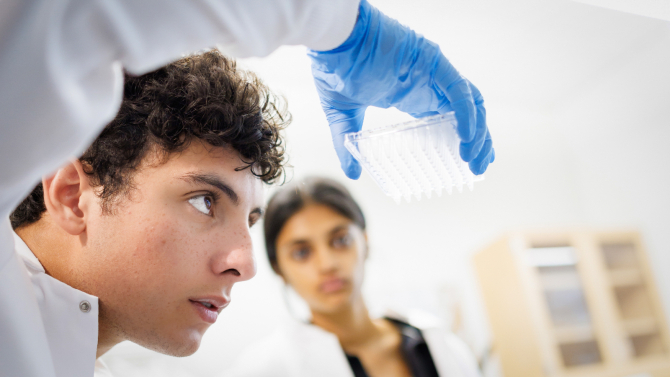 Biological sciences students conducting undergraduate research in a lab
