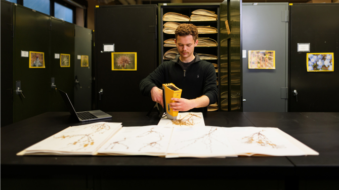 Student preserving plant specimens in the Robert F. Hoover Herbarium