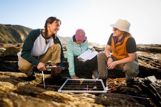 Cal Poly marine science students doing research in tidepools near ocean.