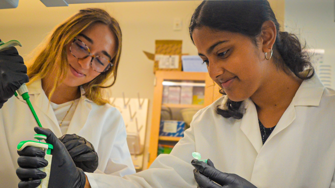 Sarepta Scholars doing biotechnology research in a lab.